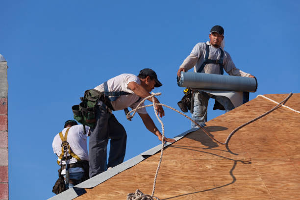 Professional Roofing Contractor in Villa Rica, GA